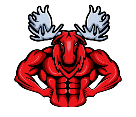 Moose Coaching